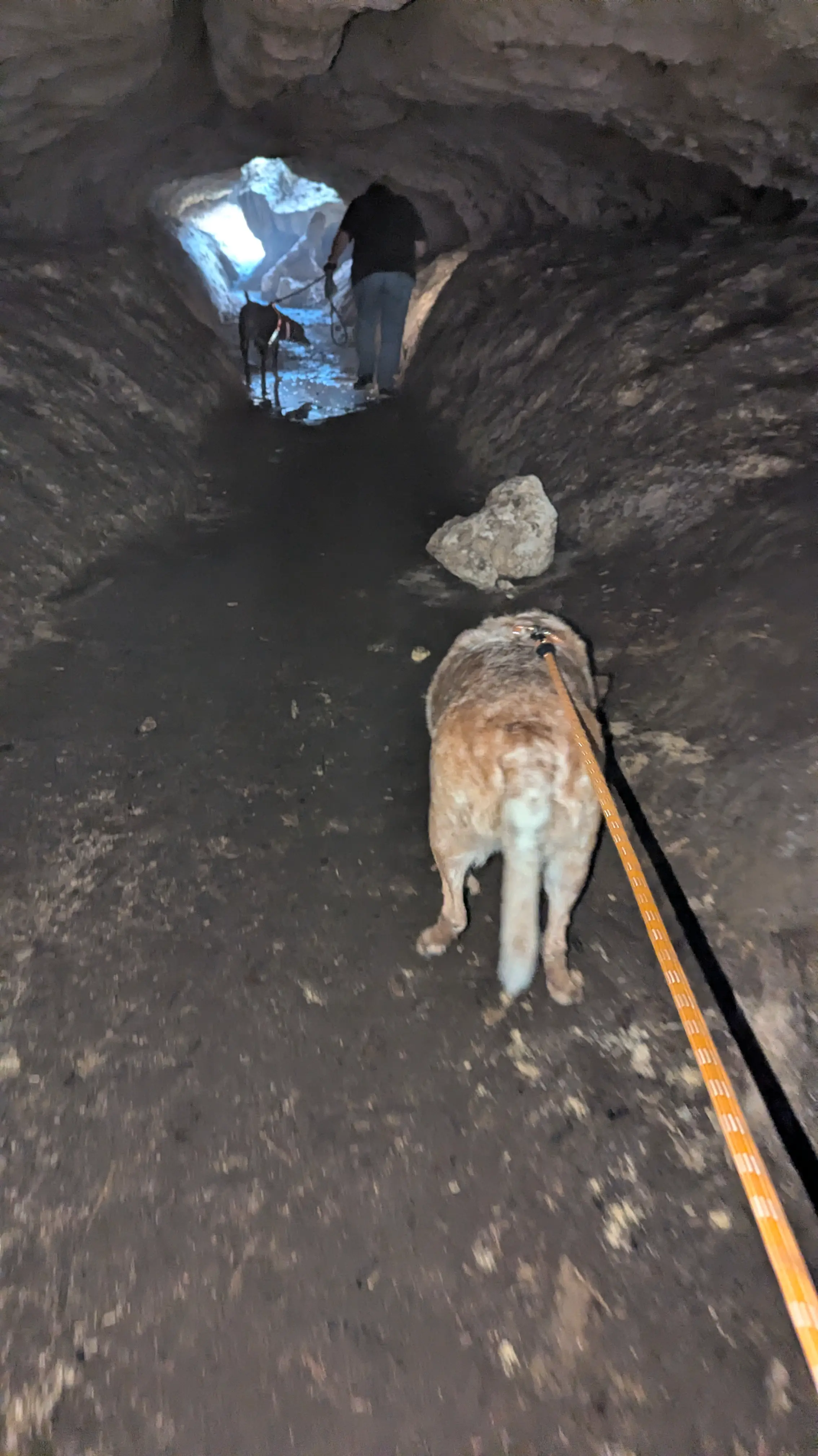 Cave exploring at the Florida State Caverns - Bluff Trail Cave