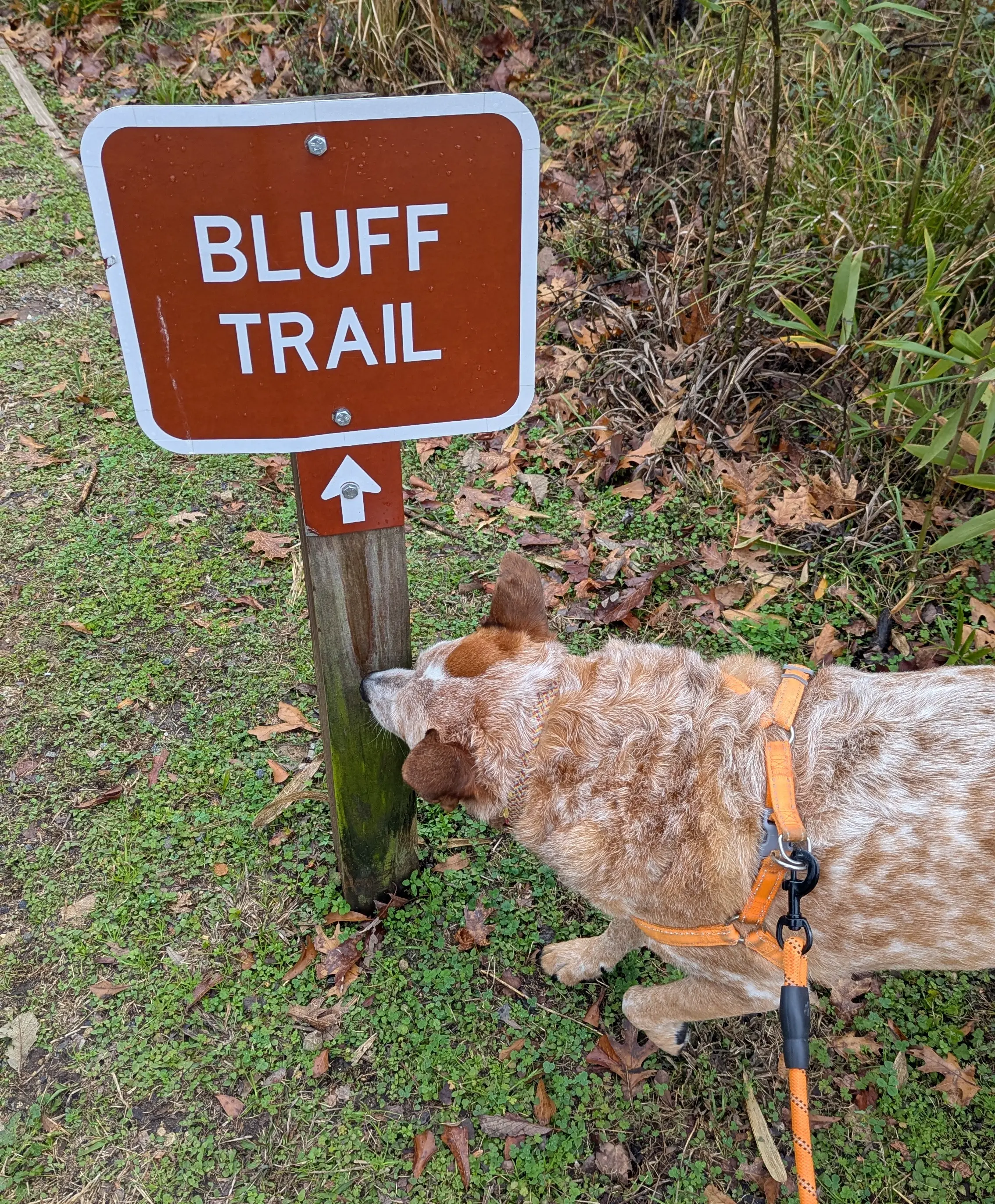 Cave exploring at the Florida State Caverns - Bluff Trail
