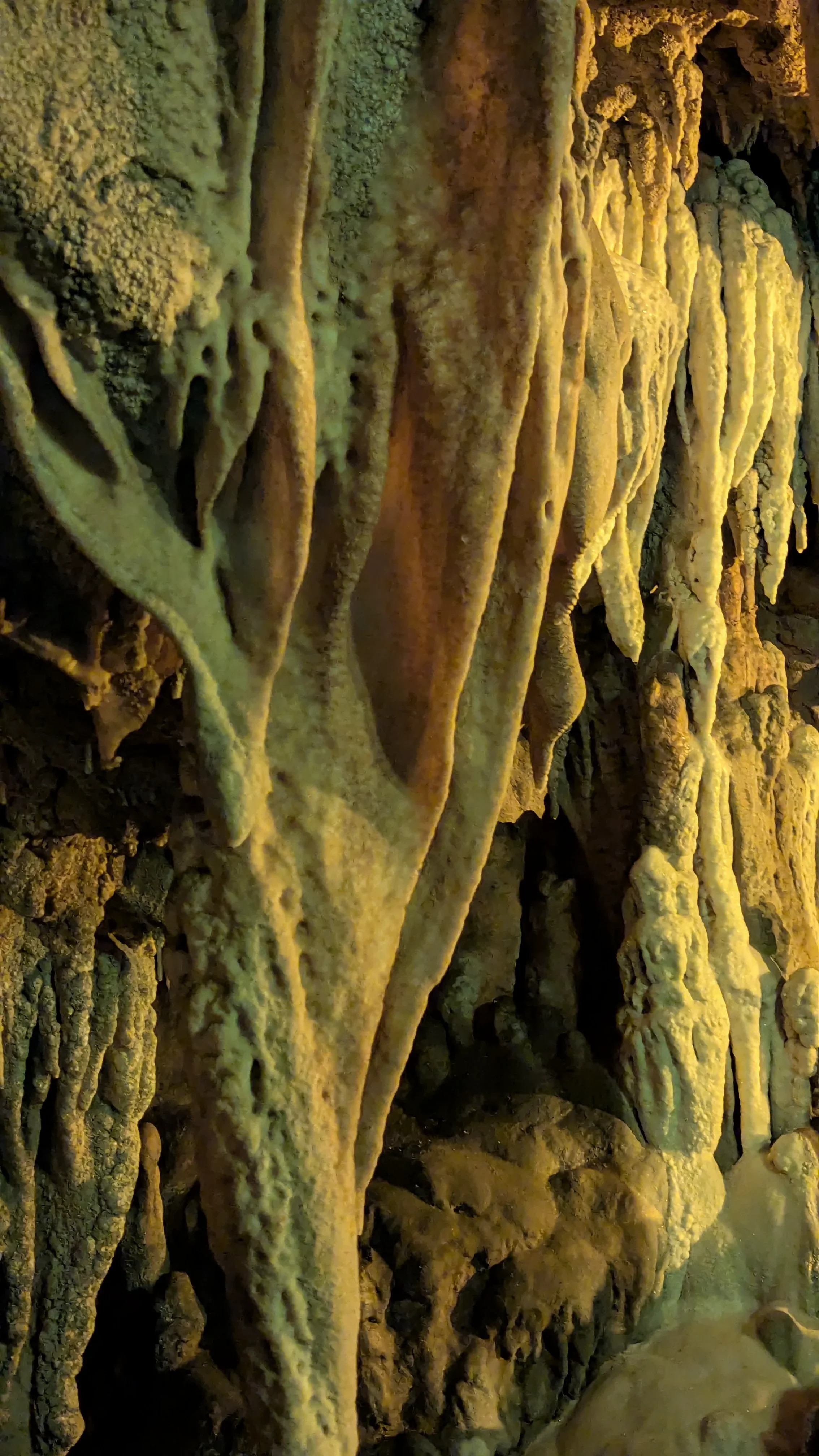 Cave Bacon