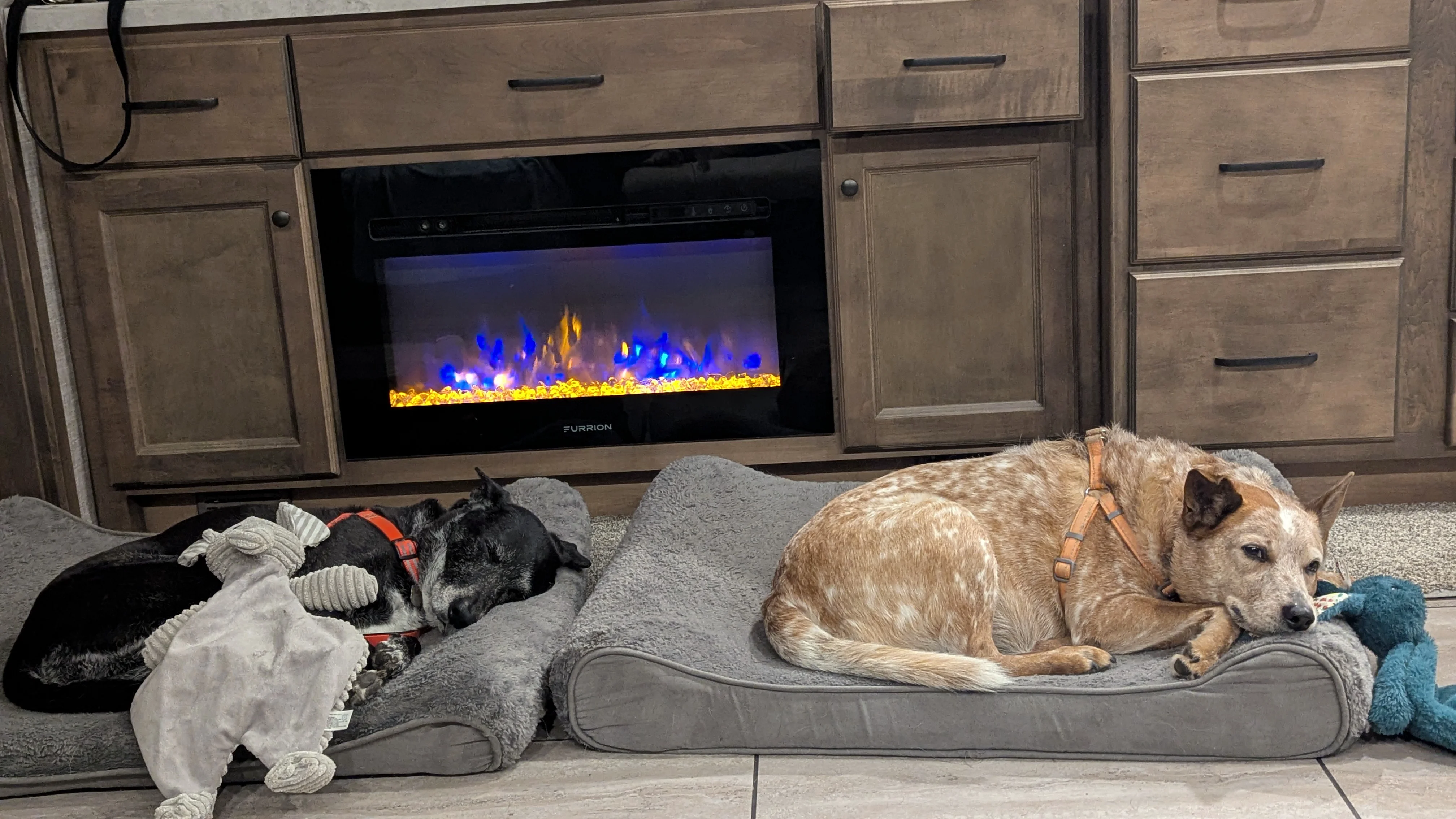 Nap time in front of the fireplace, the only way to travel