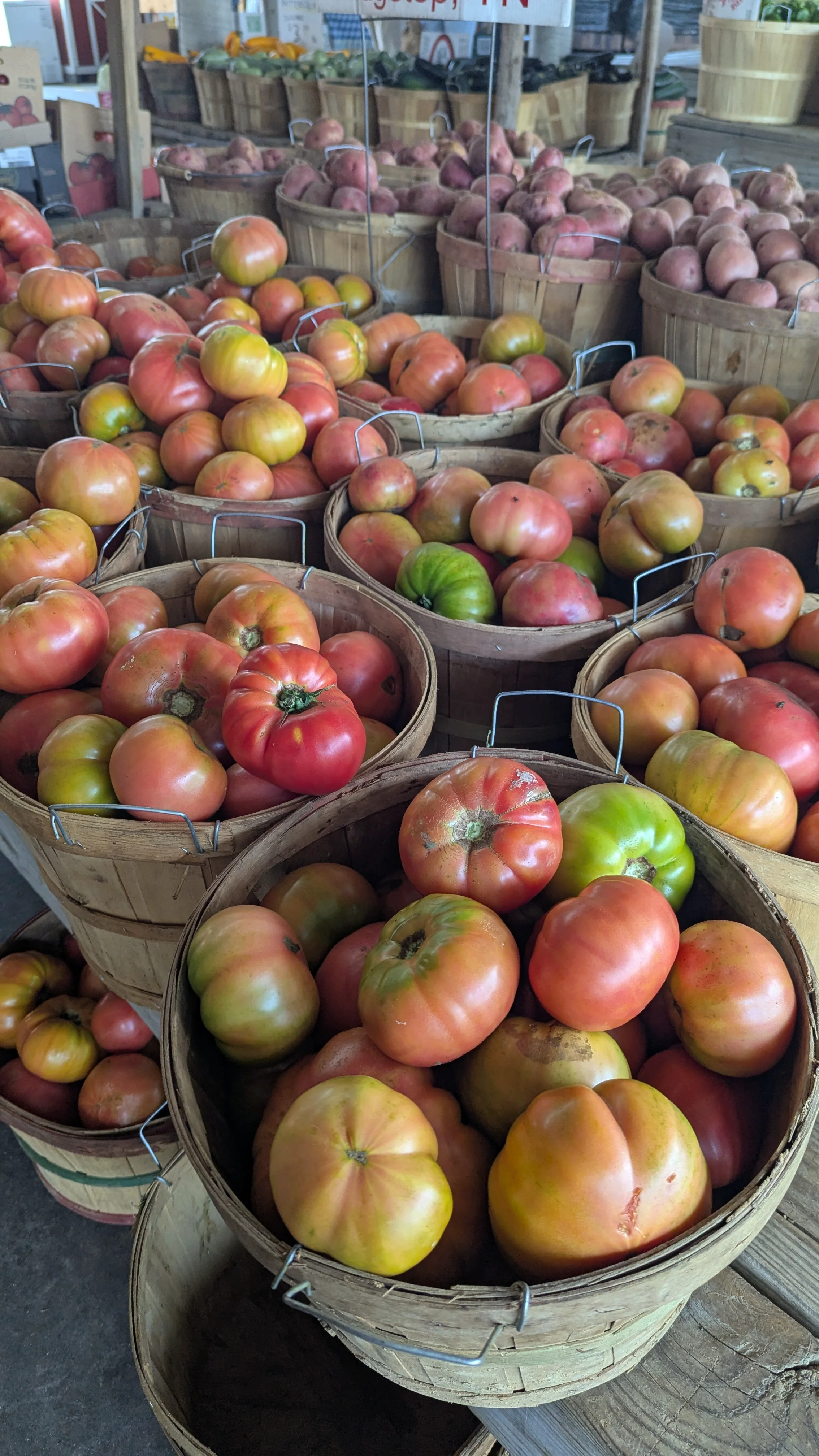 Nashville Farmers Market - Bushels of Tomatoes