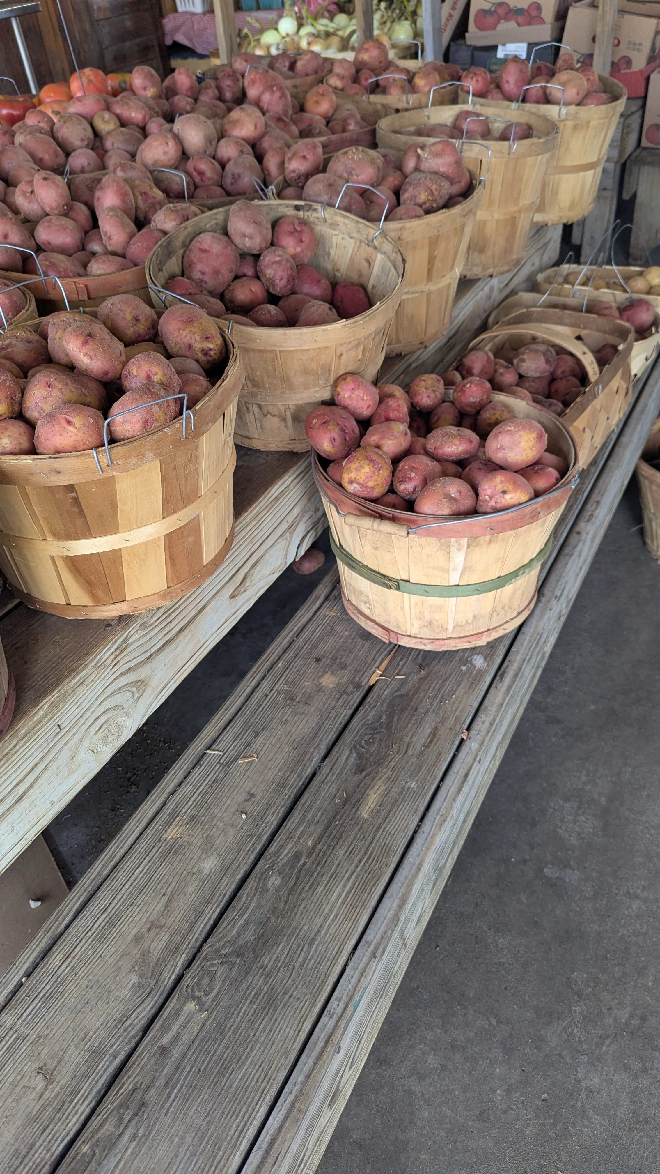Nashville Farmers Market - Lots of Potatoes