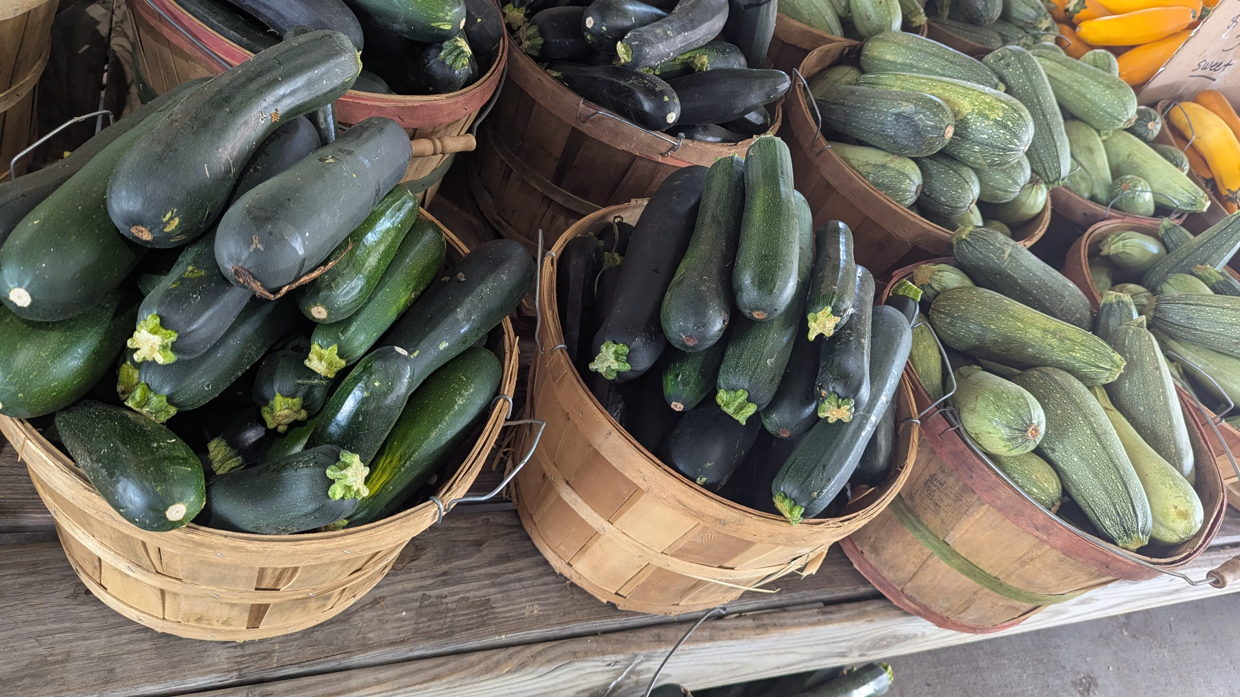 Nashville Farmers Market - Zucchini