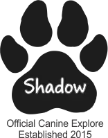 Shadow signature